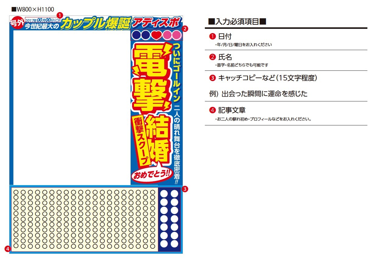 SNSパネル記入例